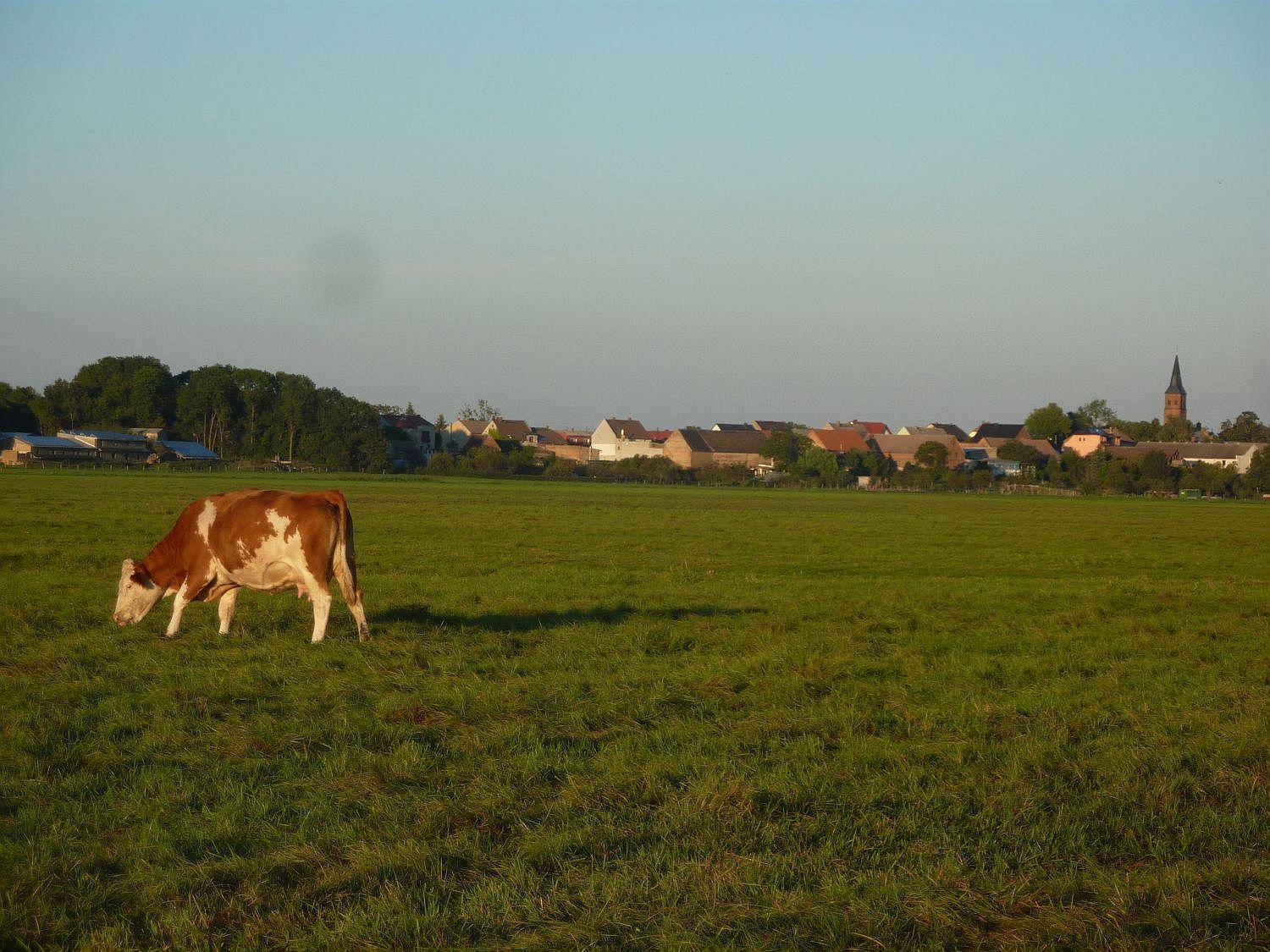 Ferienwohnung Zallnerhof Am Elberadweg In Steutz Экстерьер фото